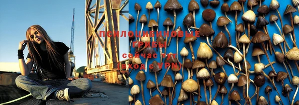 PSILOCYBIN Абдулино